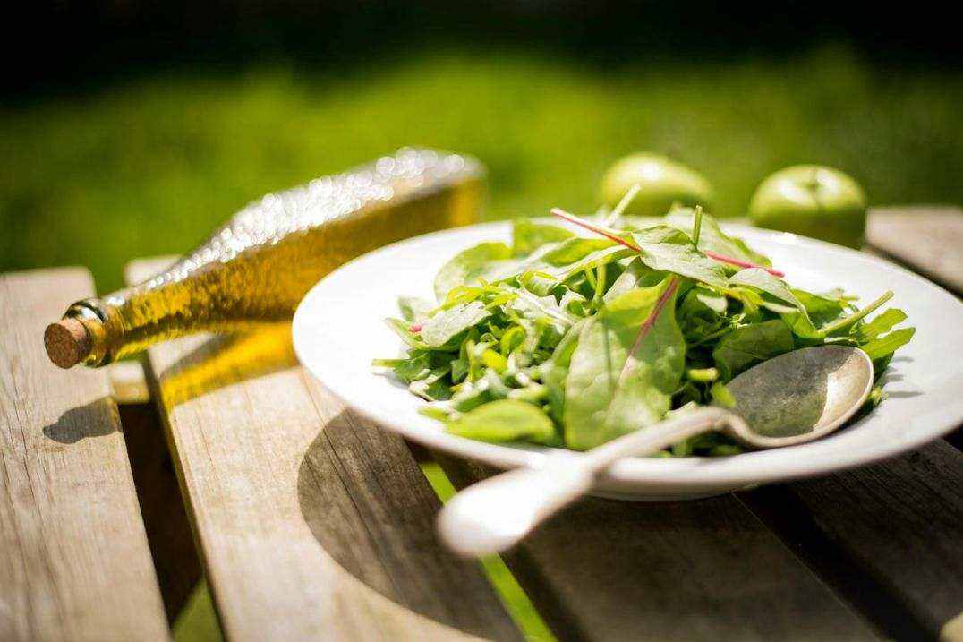 Biologische salade